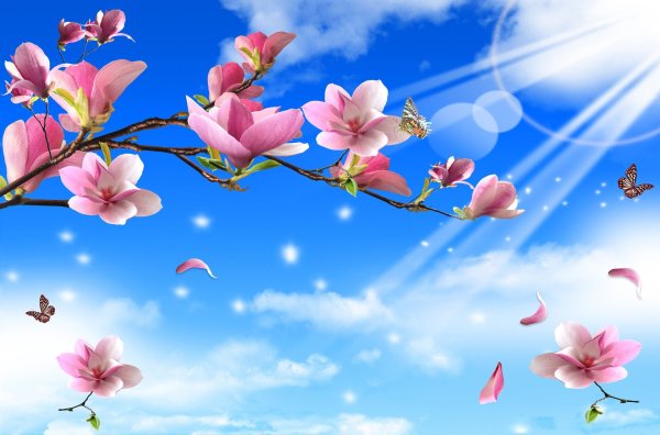 Фон с цветами