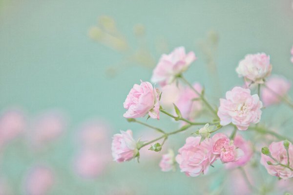 Самосознание в пастельных тонах