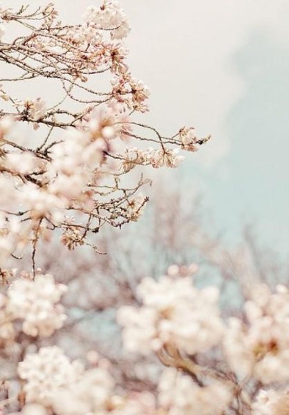 Весна Эстетика