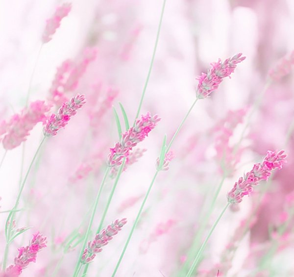 Пастельные тона