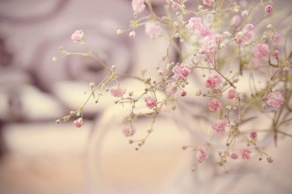 Картины в пастельных тонах