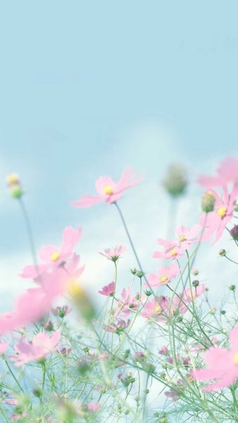 Природа в мятных тонах