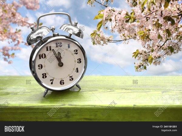 Свободное время Весна