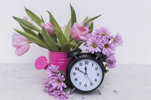 Будильник Весна Скриншот