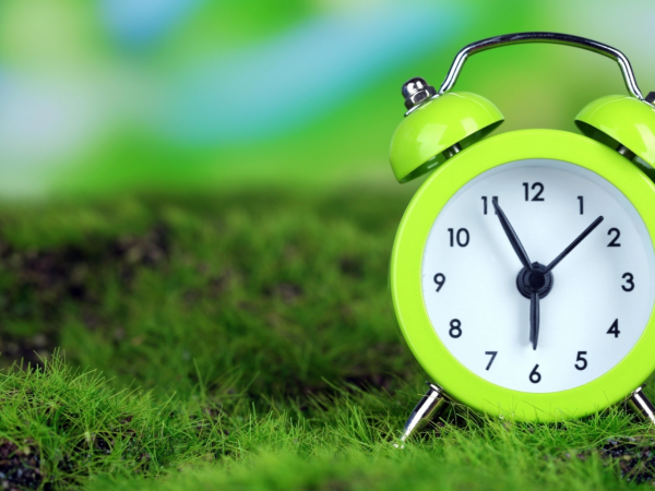 Красивые часы на природе