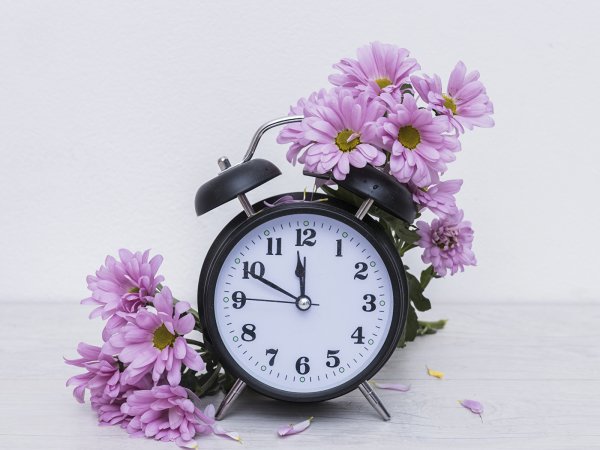 Будильник в цветах