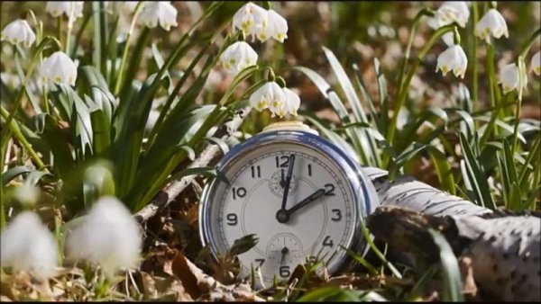 Часы "цветок"