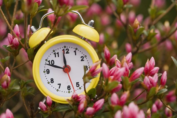 Часы и весенние цветы