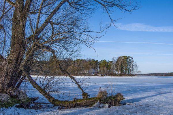 Река Волга весной