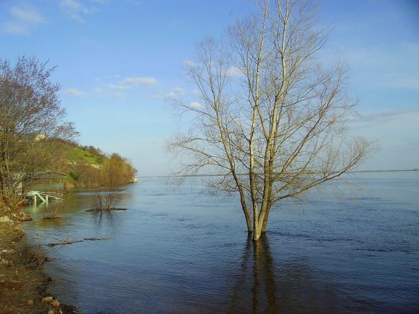 Половодье реки Волга