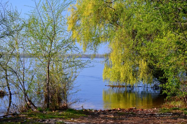 Волга весной