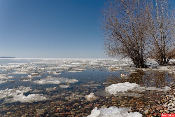 Тольятти Волга ранней весной