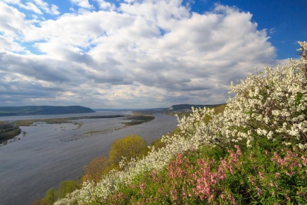 Река Волга май