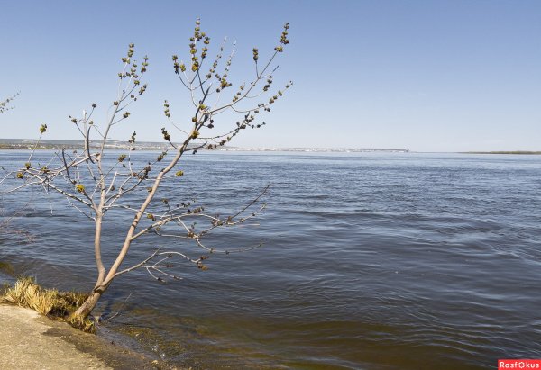 Весна Волга картинки