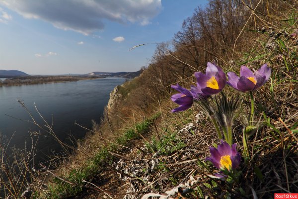 Река Самара Самарская область весной