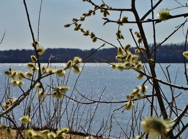 Начало весны на Волге