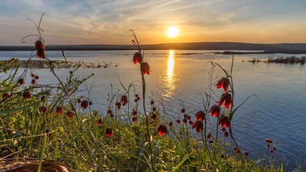 Лето на Волге