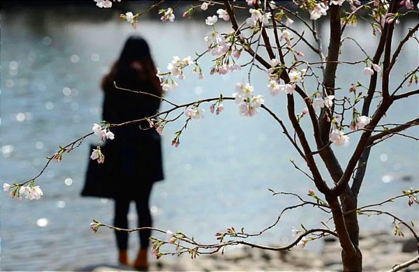 Девушка весной со спины