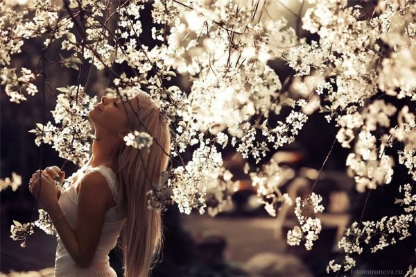 Девушка в весеннем саду