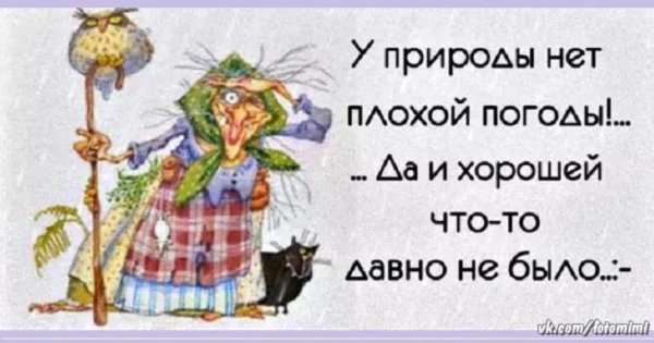 Хорошего настроения в дождливую погоду