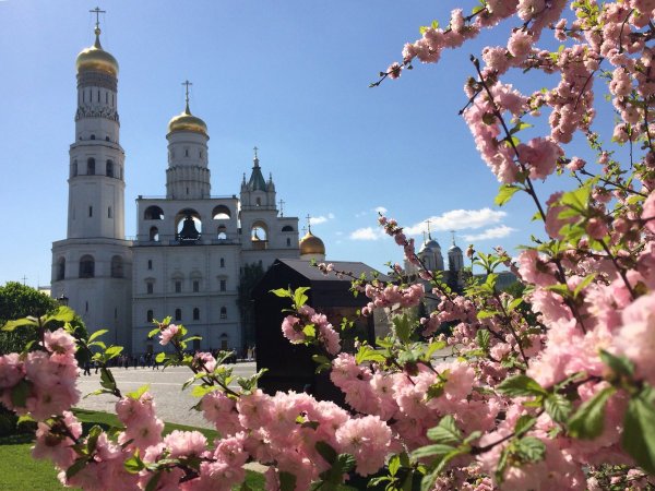 Боровицкая башня