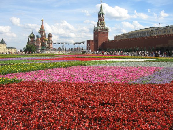 Кремль и Александровский парк