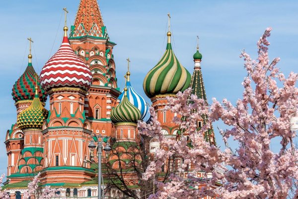 Александровский сад Москва