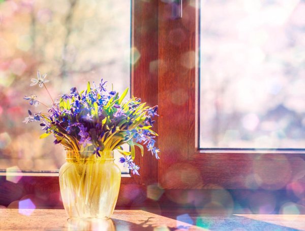 Солнце Весна окно