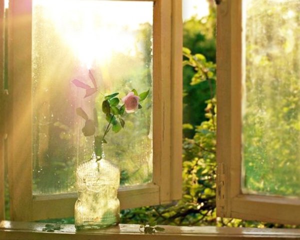 Утренние лучи в окне