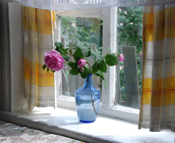 Весенние натюрморты на окне