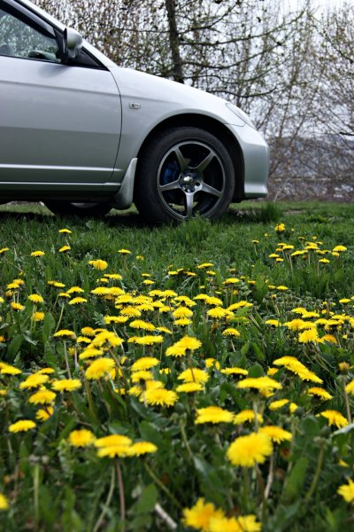 Машина Весна