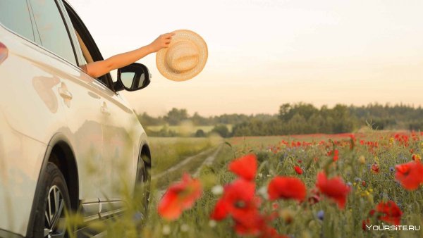 Автомобиль в цветах