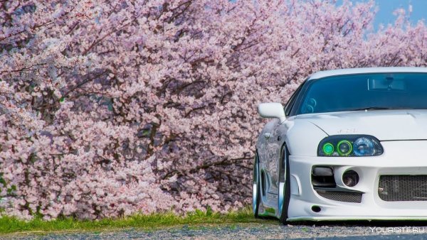 Порше 911 на трассе