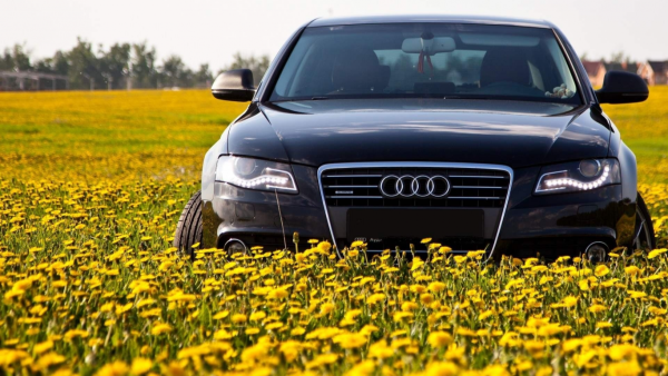 Машина весной