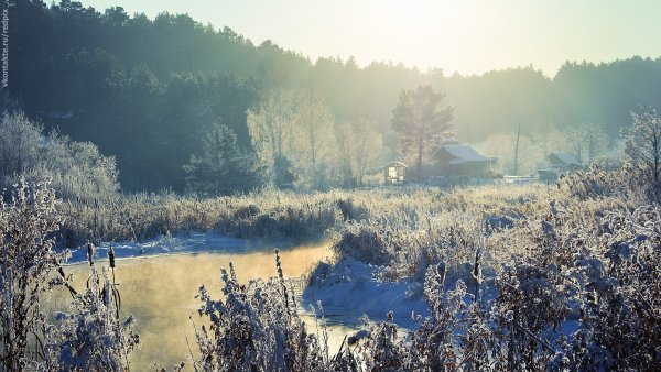 Природа деревня