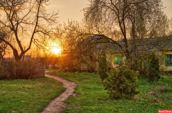 Сельская природа