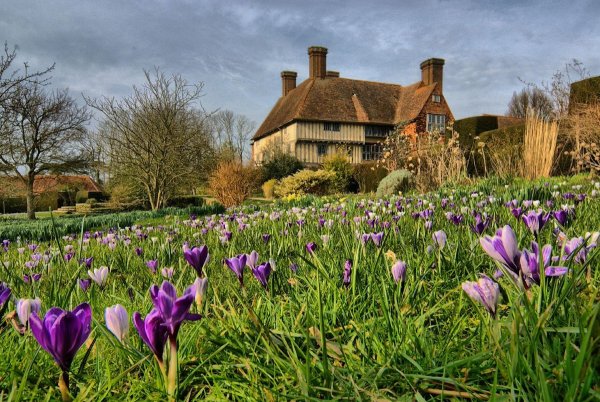 Летний деревенский пейзаж Наталья Шайкина