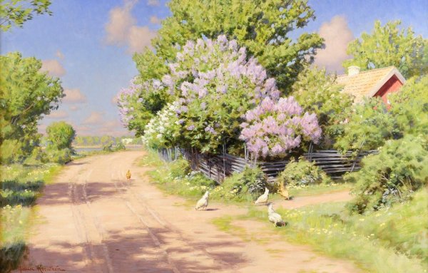 Природа лето деревня