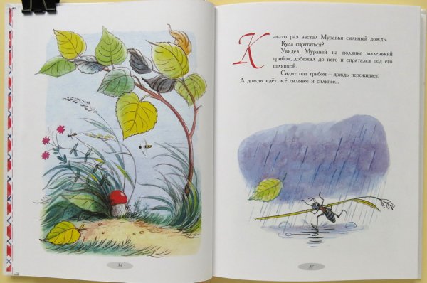 Рассказ по картинкам рыбы