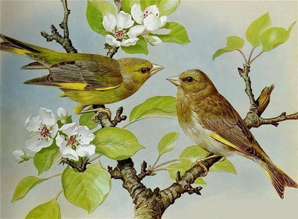 Картина Артюшенко птицы весной