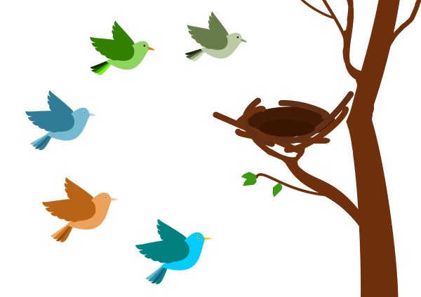 Птицы картинки для детей
