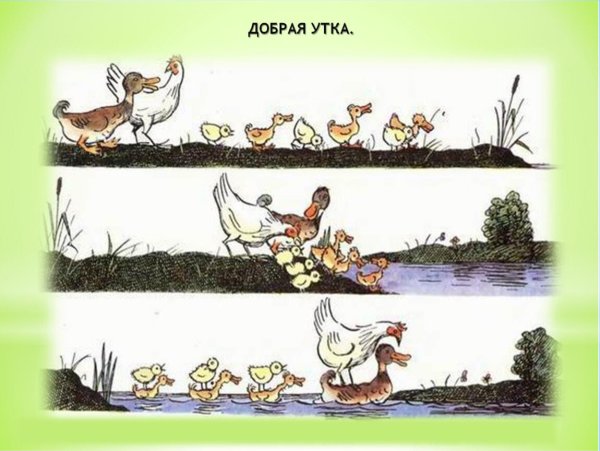 Сутеев палочка выручалочка иллюстрации