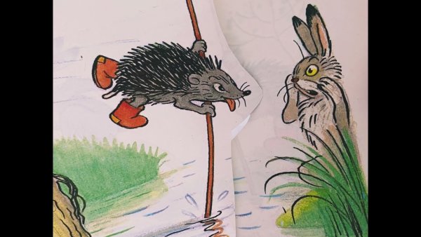 Сеазки суьеева кот рыбол