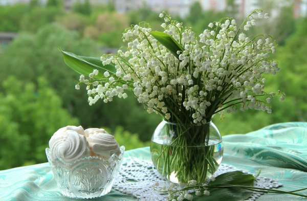 Радость ранней весны