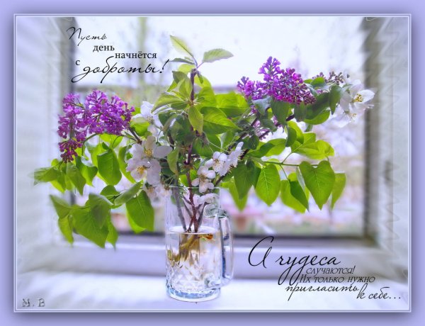 Доброе Весеннее утро