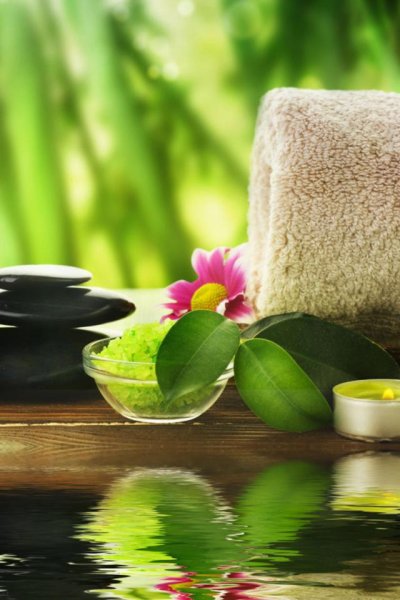 Фотообои сирень