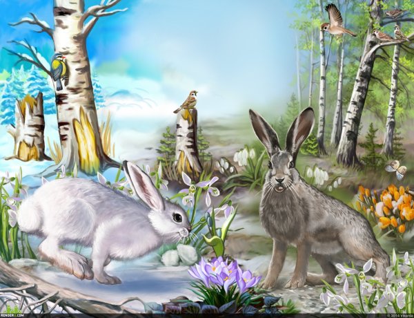 Животные весной в лесу