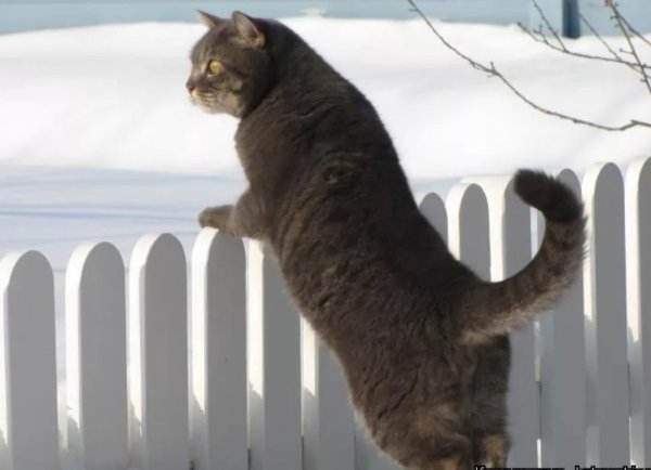 Красивая пьяная девушка