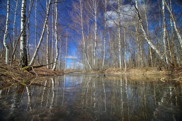 Природа Весна апрель