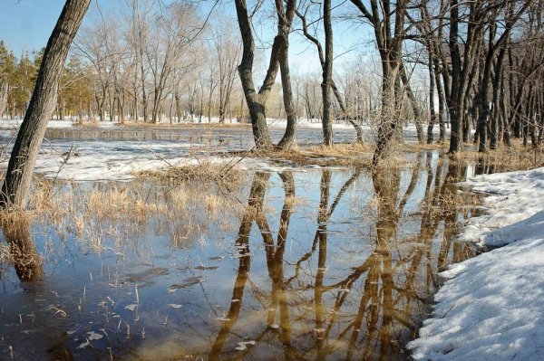 Ранняя Весна дорога